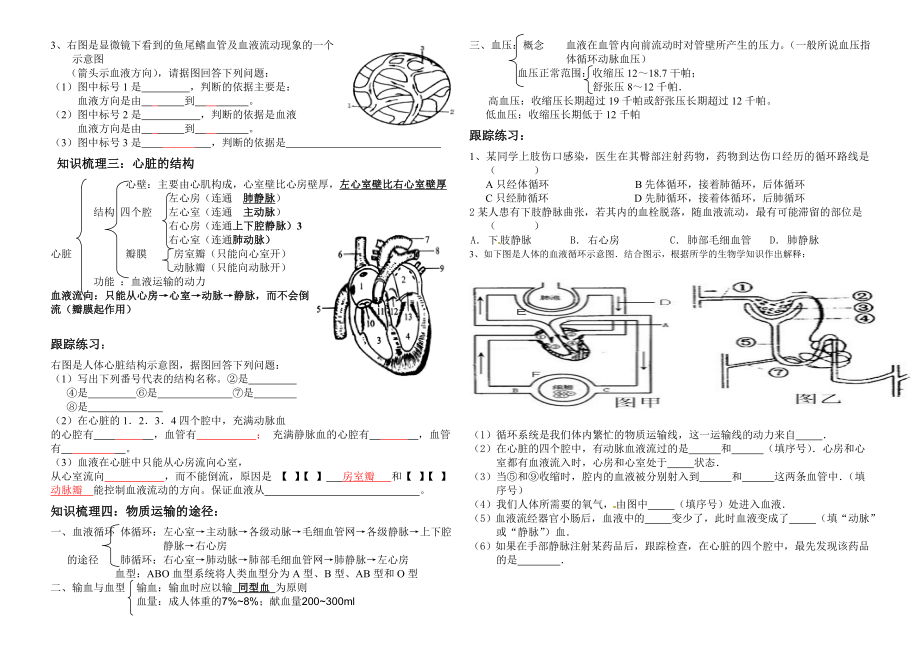 人体内物质的运输复习学案教案.doc_第2页