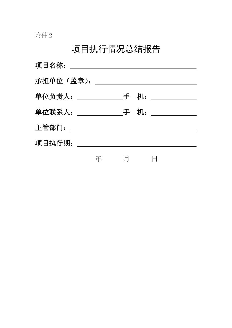 项目执行情况总结报告.doc_第1页