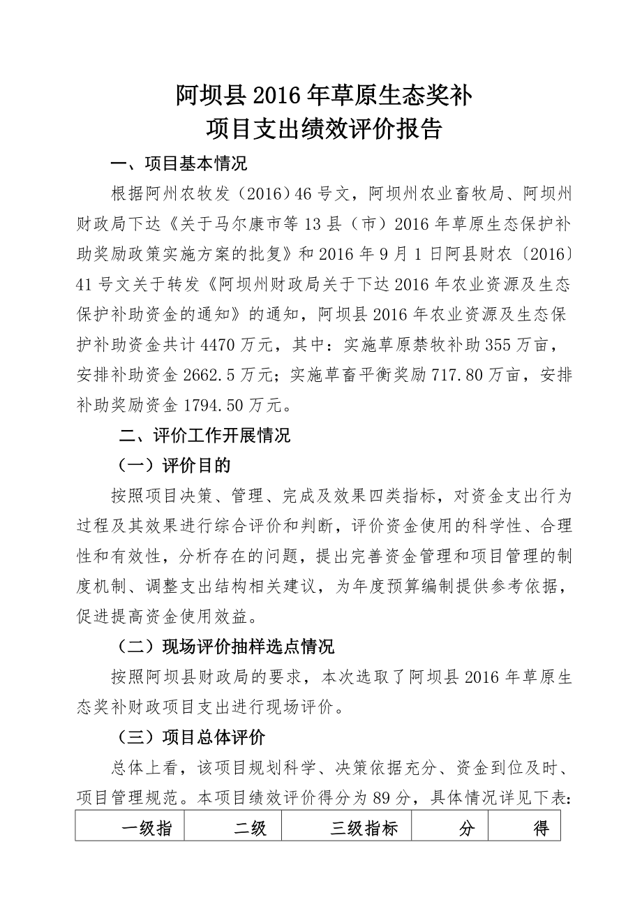 项目绩效评价报告(1).doc_第1页