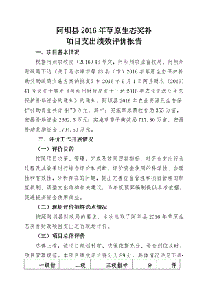 项目绩效评价报告(1).doc