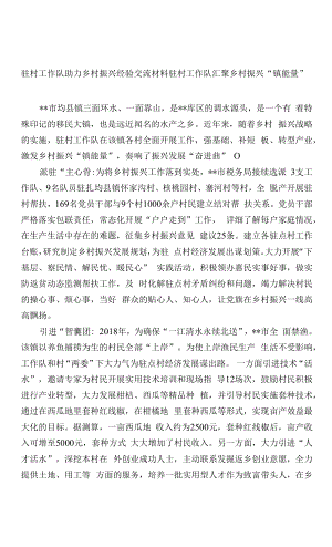 驻村工作队助力乡村振兴经验交流材料.docx