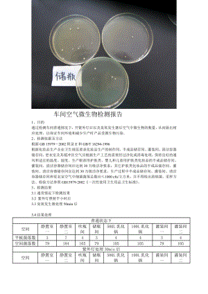 车间空气微生物检测报告.doc