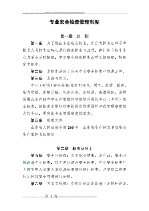 专业安全检查管理制度(6页).doc