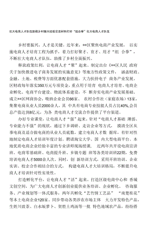 壮大电商人才队伍 助推乡村振兴经验交流材料.docx