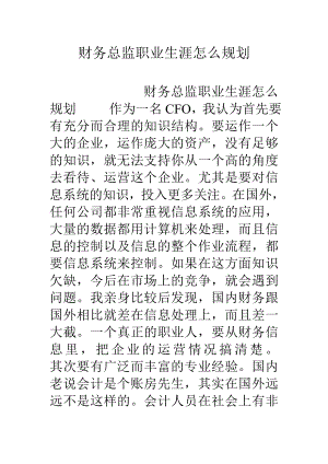 财务总监职业生涯怎么规划.doc