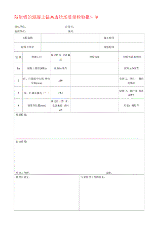 隧道锚的混凝土锚塞体现场质量检验报告单.docx