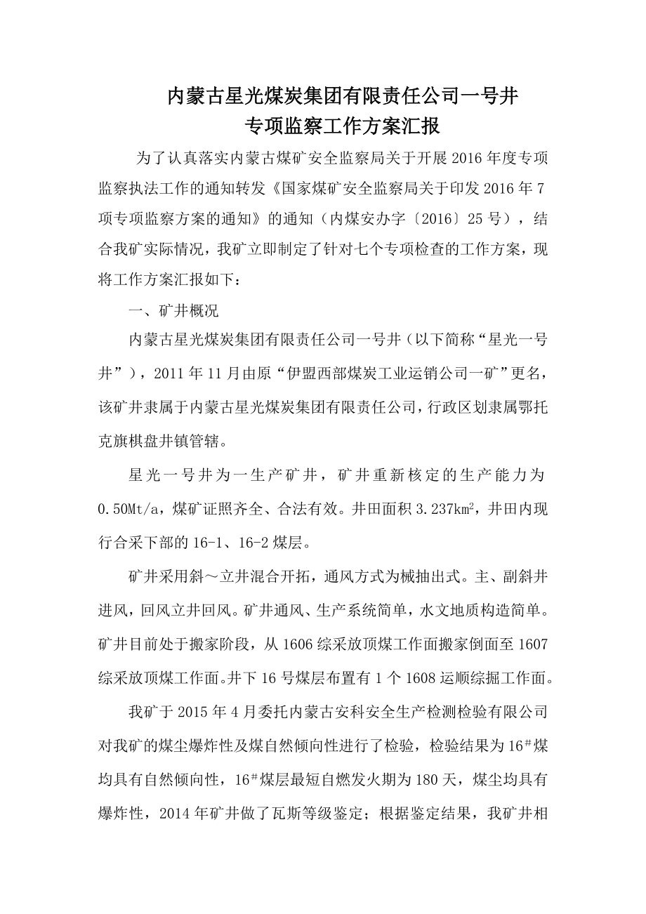 项目专项安全自查自纠总结报告.doc_第1页