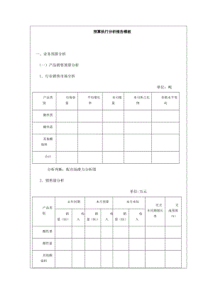 预算执行分析报告模板.doc