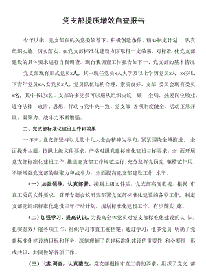 支部提质增效自查报告.docx