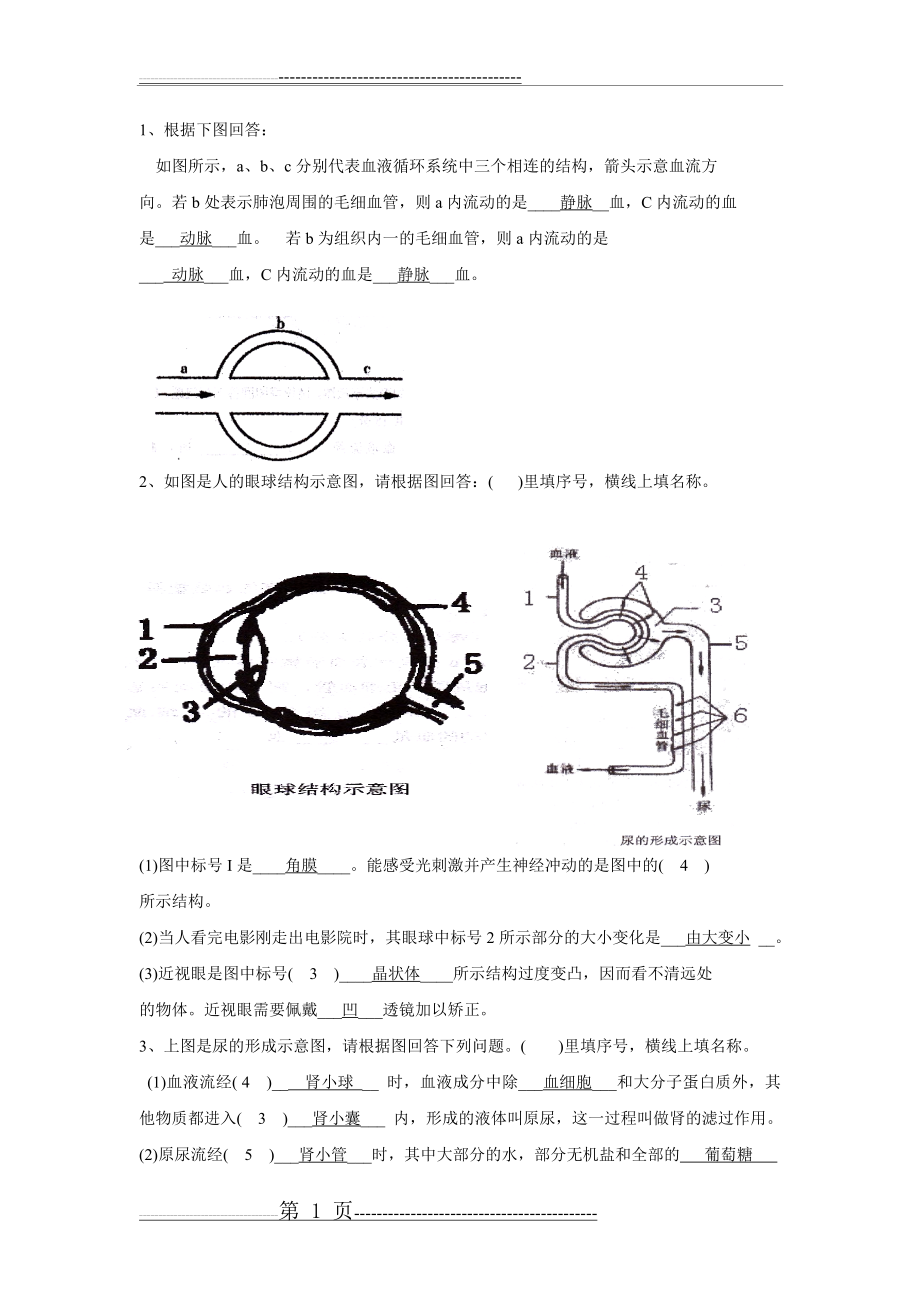 七年级下册生物读图题(7页).doc_第1页