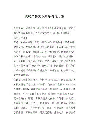 说明文作文600字精选5篇.docx