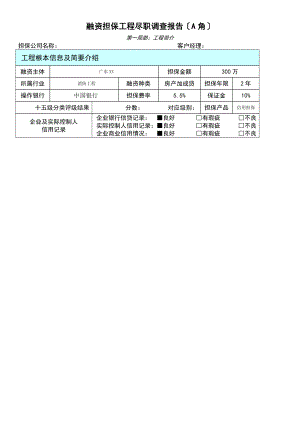 银行融资担保项目尽职调查报告A角.doc