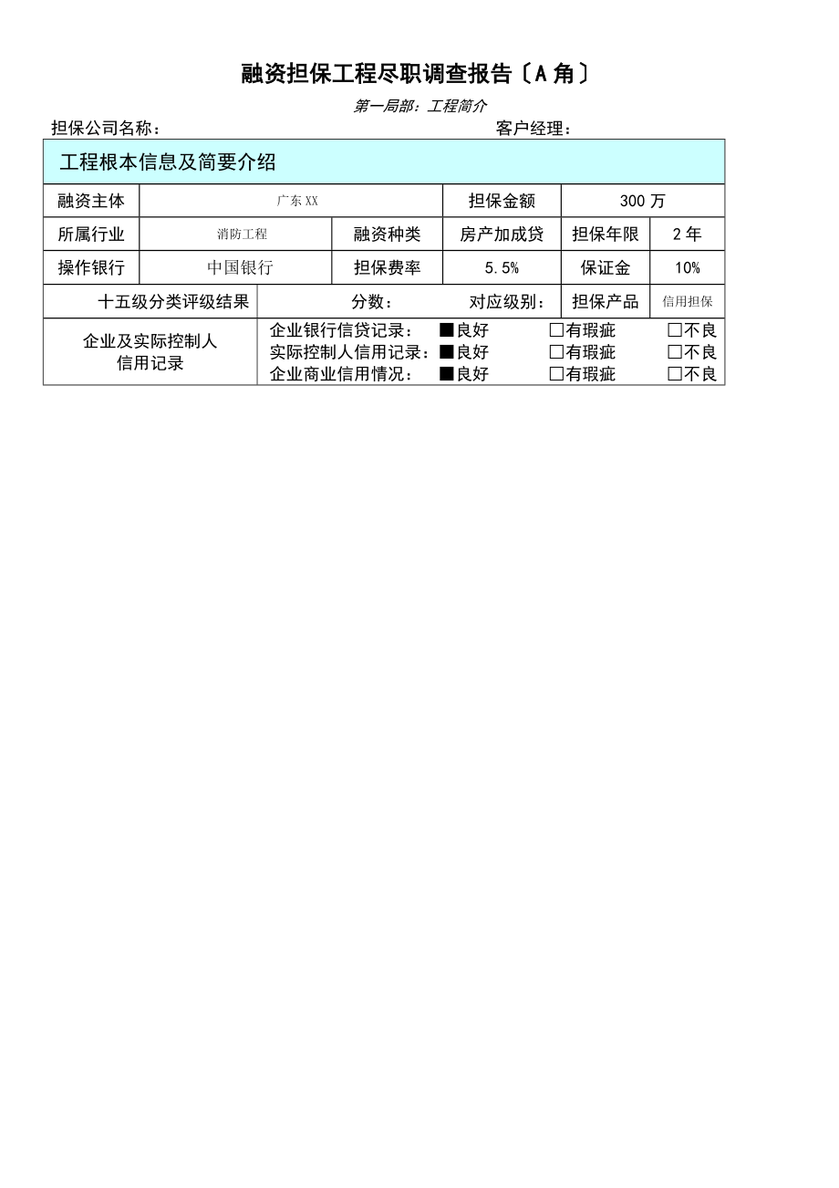 银行融资担保项目尽职调查报告A角.doc_第1页