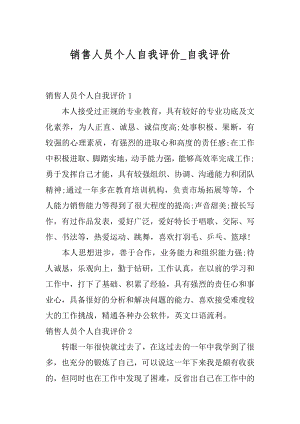 销售人员个人自我评价_自我评价.docx