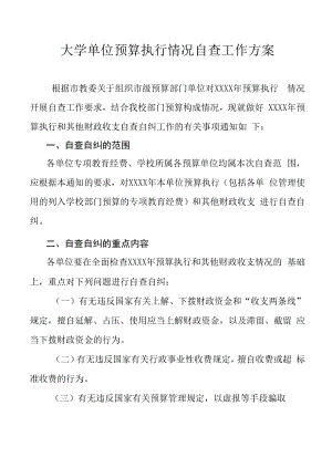 大学单位预算执行情况自查工作方案.docx