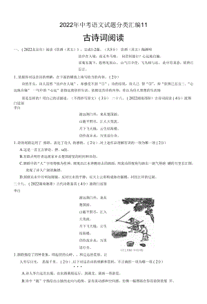 2022年中考语文试题及答案分类汇编：11 古诗词阅读.docx