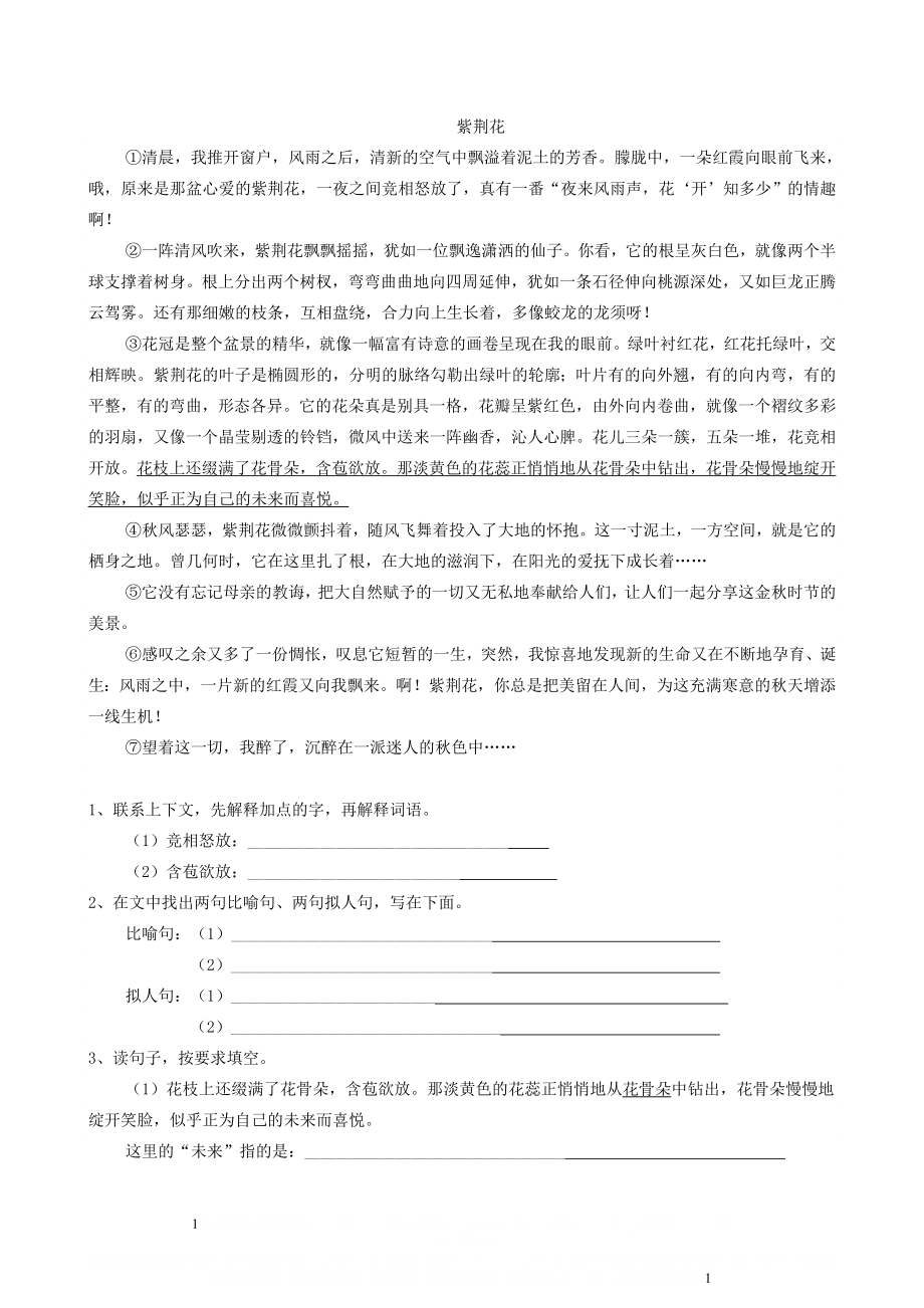 《紫荆花》阅读练习题.doc_第1页