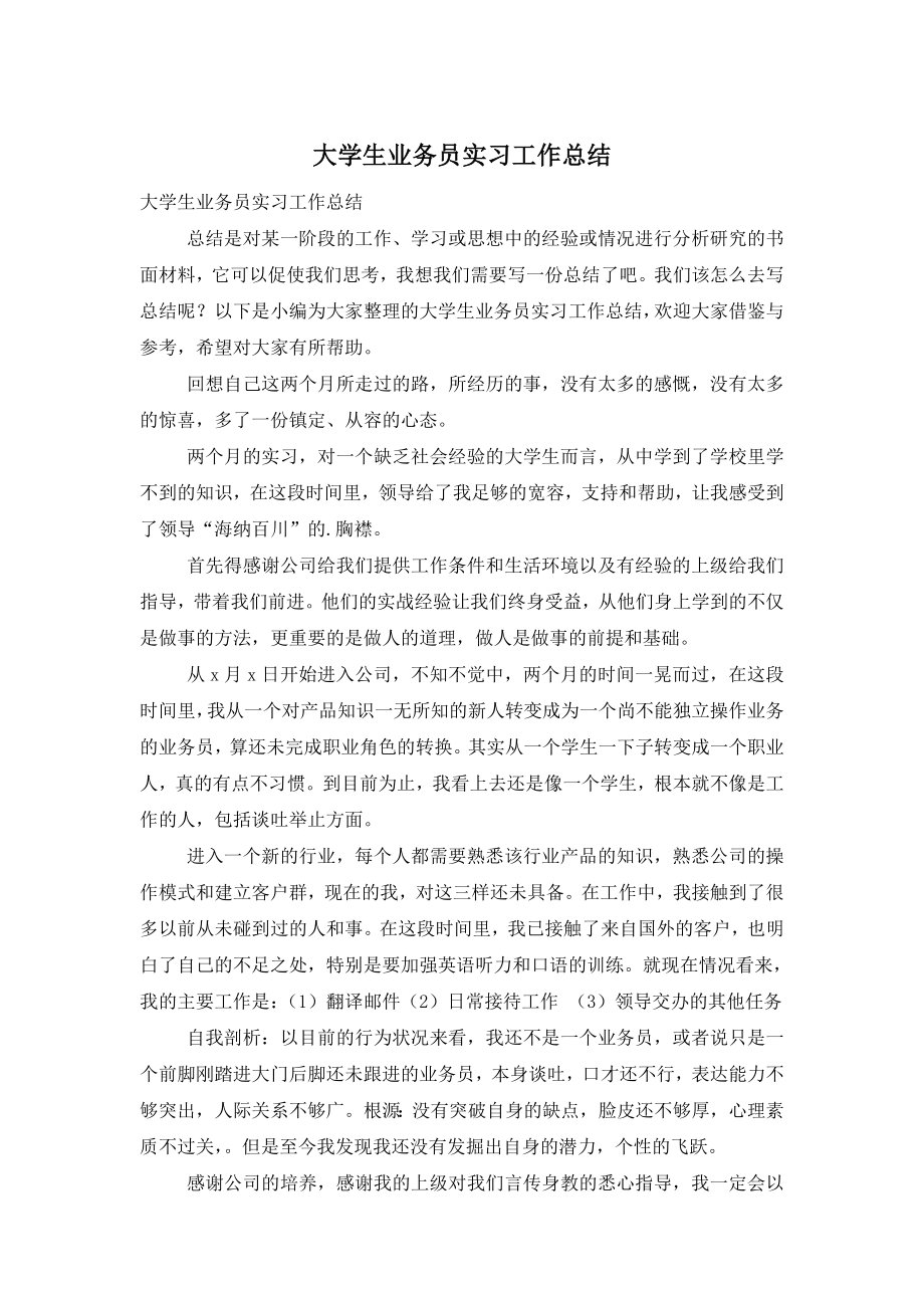 大学生业务员实习工作总结.doc_第1页