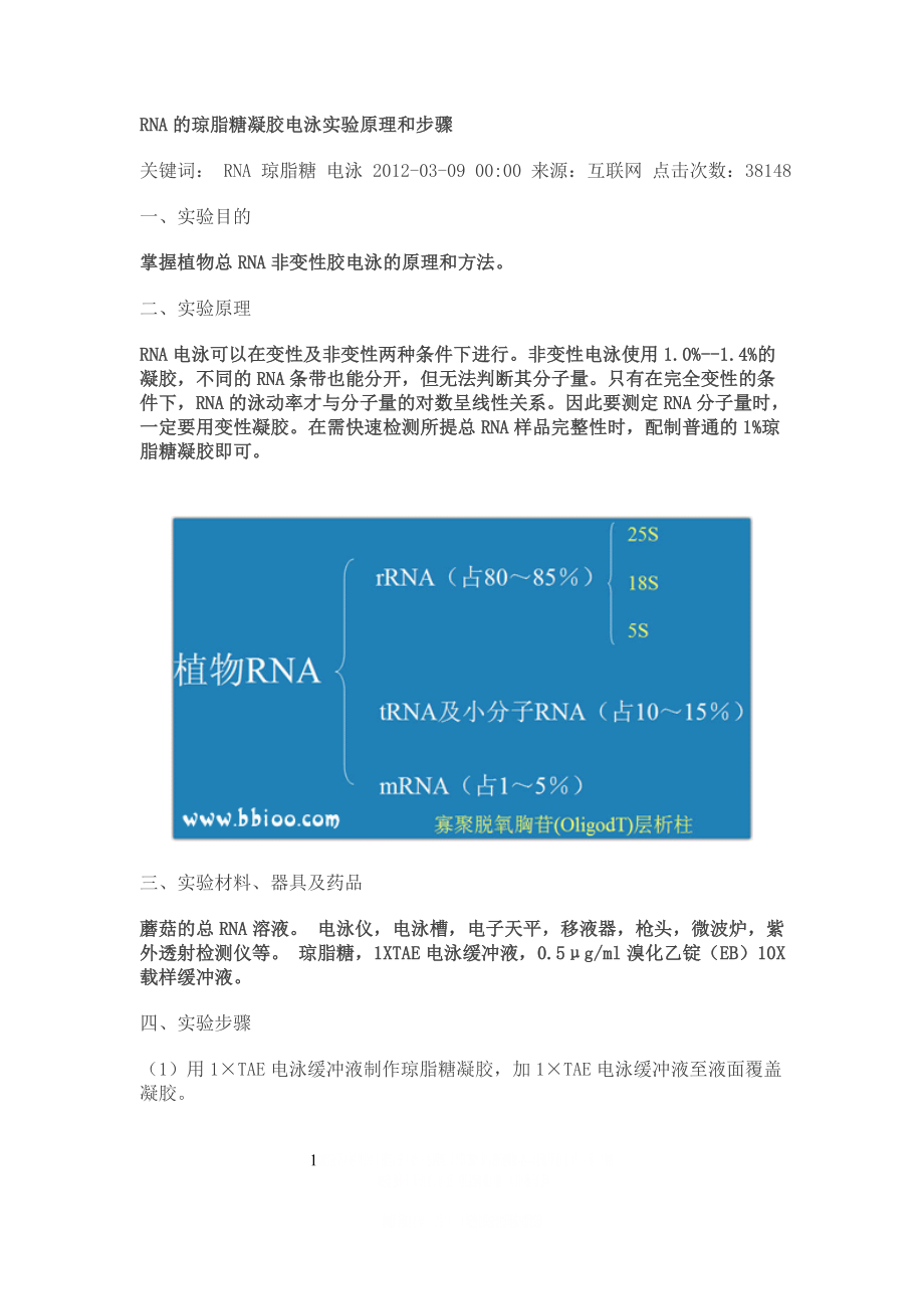 RNA的琼脂糖凝胶电泳实验原理和步骤.doc_第1页