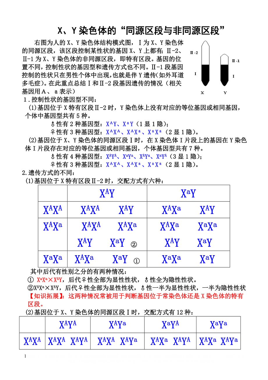 X、Y染色体的“同源区段与非同源区段”.doc_第1页