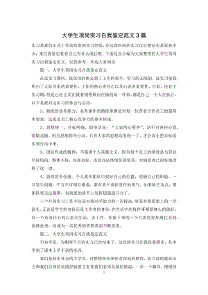 大学生顶岗实习自我鉴定范文3篇.docx