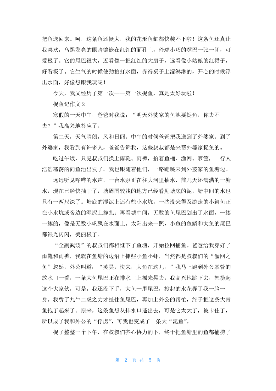 捉鱼记作文4篇.docx_第2页