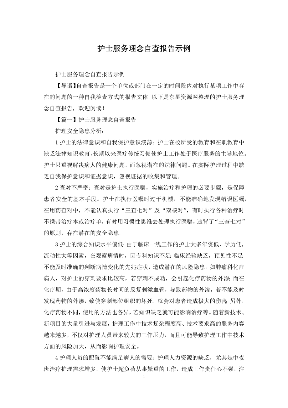 护士服务理念自查报告示例.docx_第1页