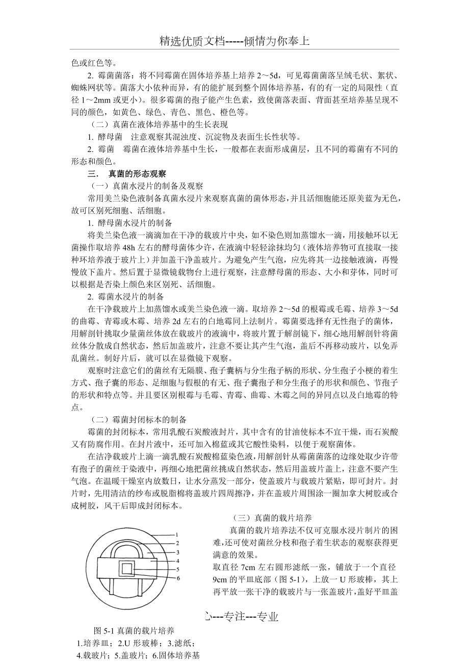 实验五真菌的分离培养及形态观察(共3页).doc_第2页