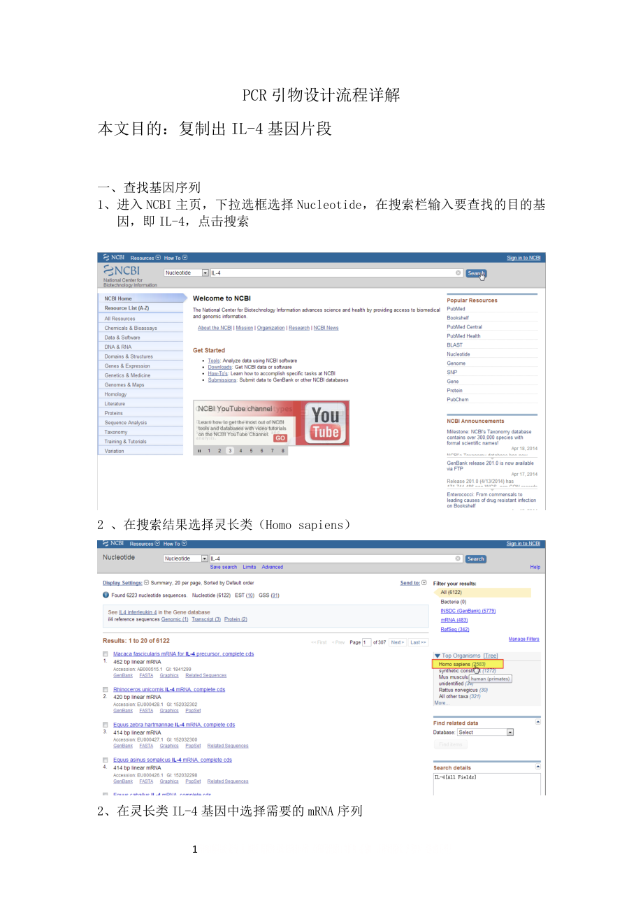 PCR引物流程设计详解.doc_第1页