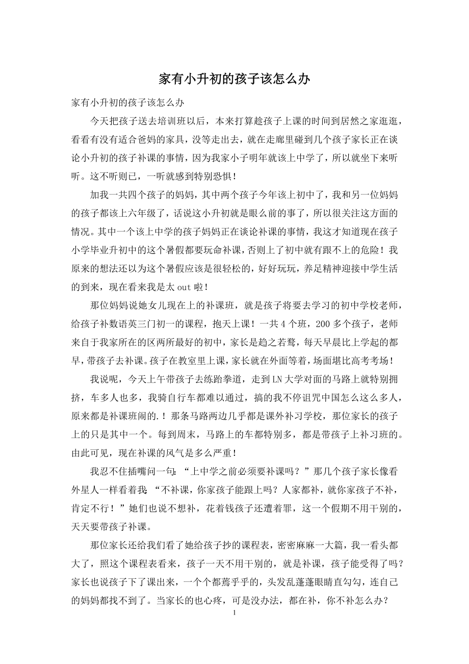 家有小升初的孩子该怎么办.docx_第1页