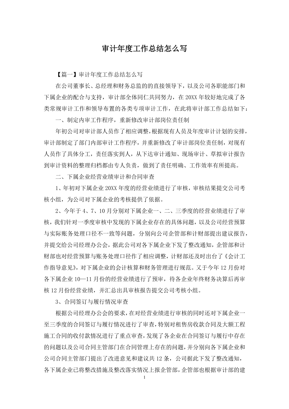 审计年度工作总结怎么写.docx_第1页