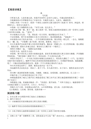 《魂》阅读片段及答案.doc