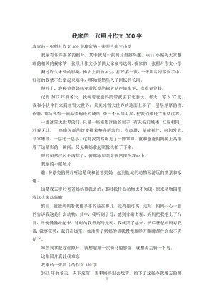 我家的一张照片作文300字.docx