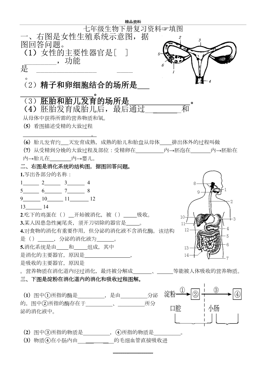 最新七年级生物下填图题(识图题)总复习.doc_第2页