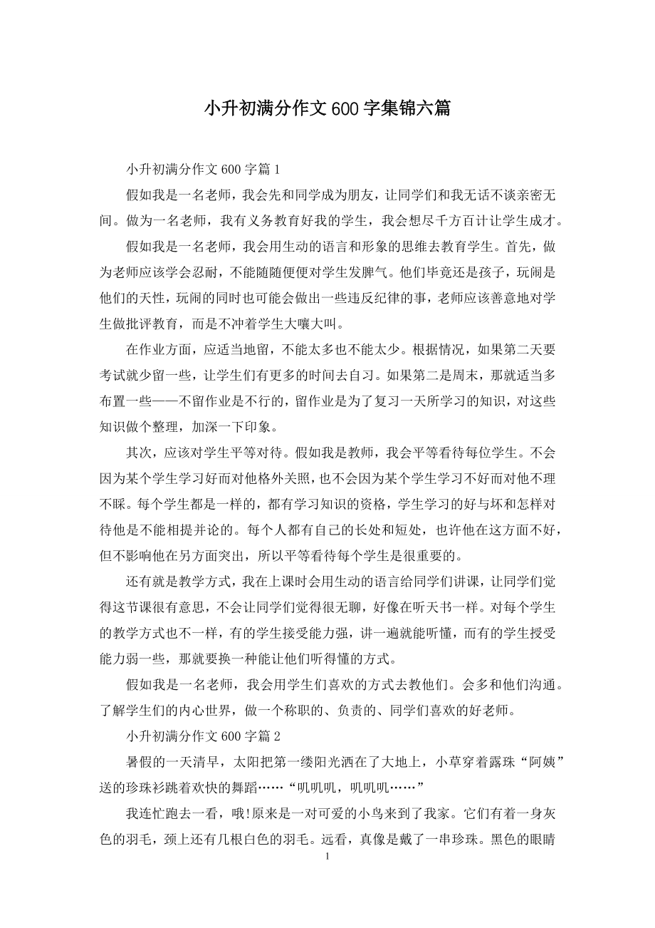 小升初满分作文600字集锦六篇.docx_第1页