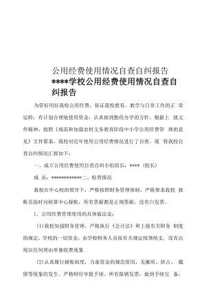 公用经费使用情况自查自纠报告.docx