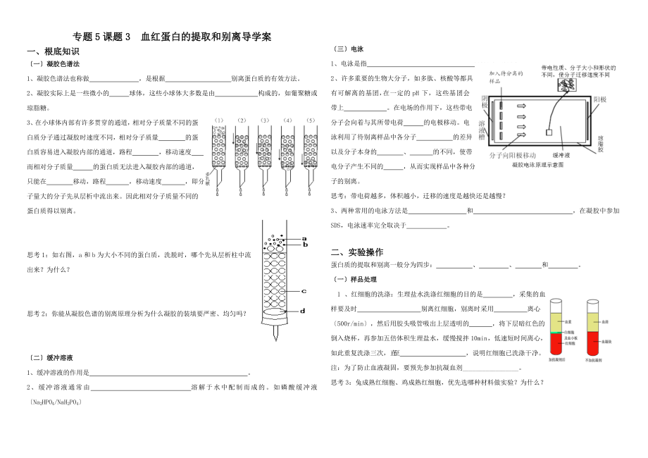 专题5课题3血红蛋白的提取和分离.doc_第1页