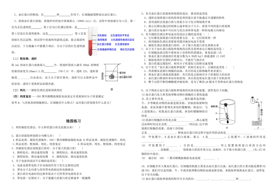 专题5课题3血红蛋白的提取和分离.doc_第2页