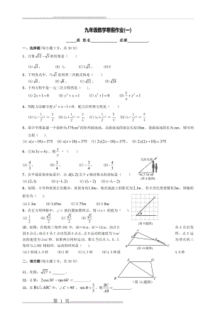 九年级数学寒假作业(一)_5(11页).doc