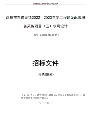 工程建设配套服务采购项目水利设计招标文件.docx