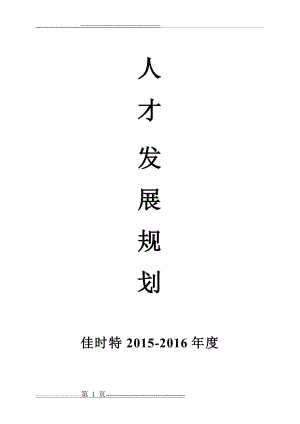 人才发展规划(13页).doc