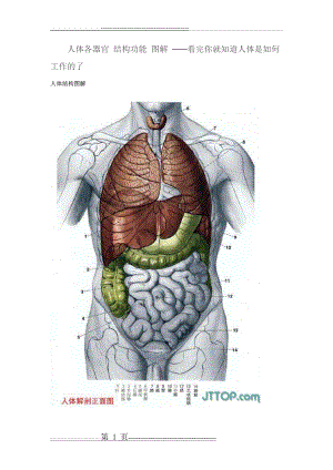 人体各器官-结构功能-图解(38页).doc