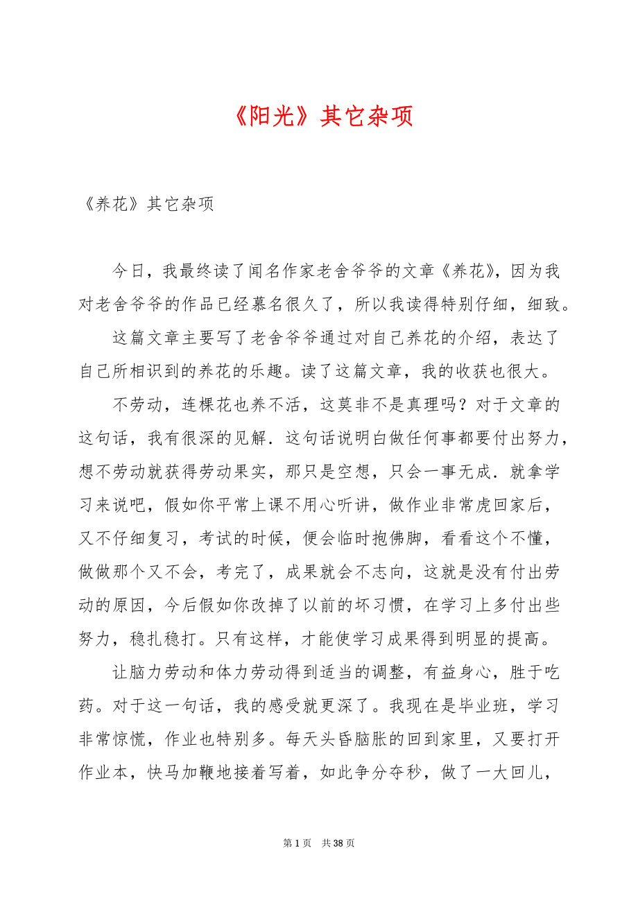 《阳光》其它杂项.docx_第1页