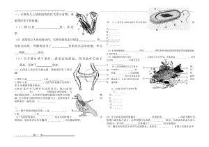 人教版生物八年级上册识图题专题复习(3页).doc