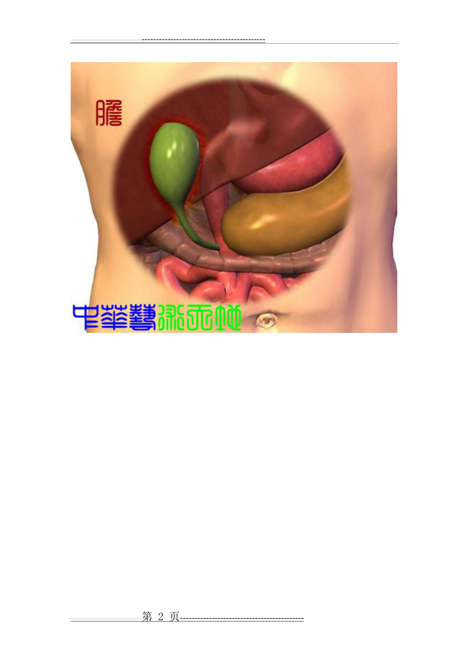 人体内脏结构人体全息示意图(34页).doc_第2页