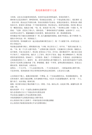 初中语文文摘社会我是孤独的留守儿童.docx