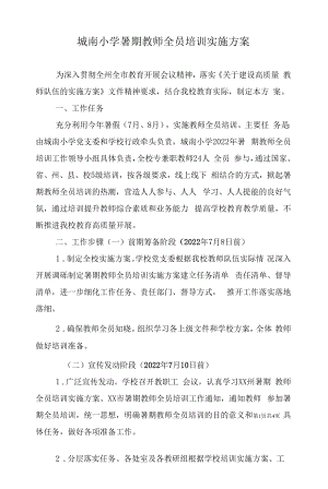 城南小学暑期教师全员培训实施方案.docx