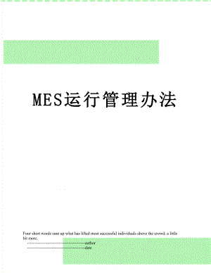 最新MES运行管理办法.doc