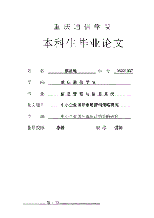 中小企业国际市场营销策略研究(30页).doc