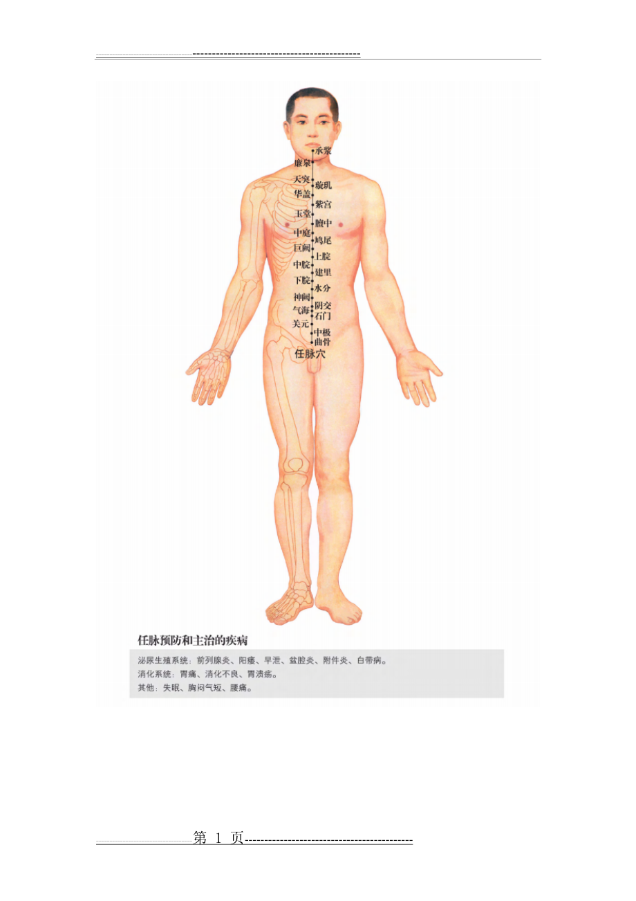 任督二脉及十二经脉图-清晰版+蹲墙功打通任督二脉(25页).doc_第1页